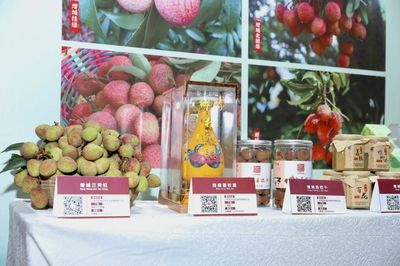 廣州荔枝采摘上市,今年將有巨美人、無核、嶺豐糯等新品種