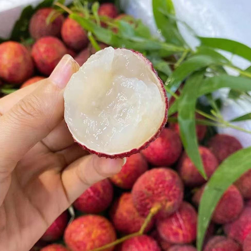 順豐包郵 海南無核荔枝 當(dāng)季新鮮孕婦水果